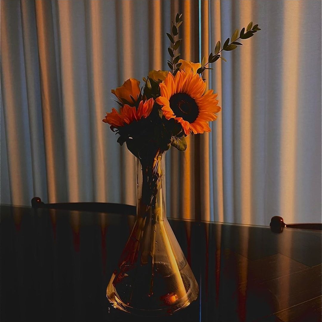 unwavering faith and unconditional love 🌻❤