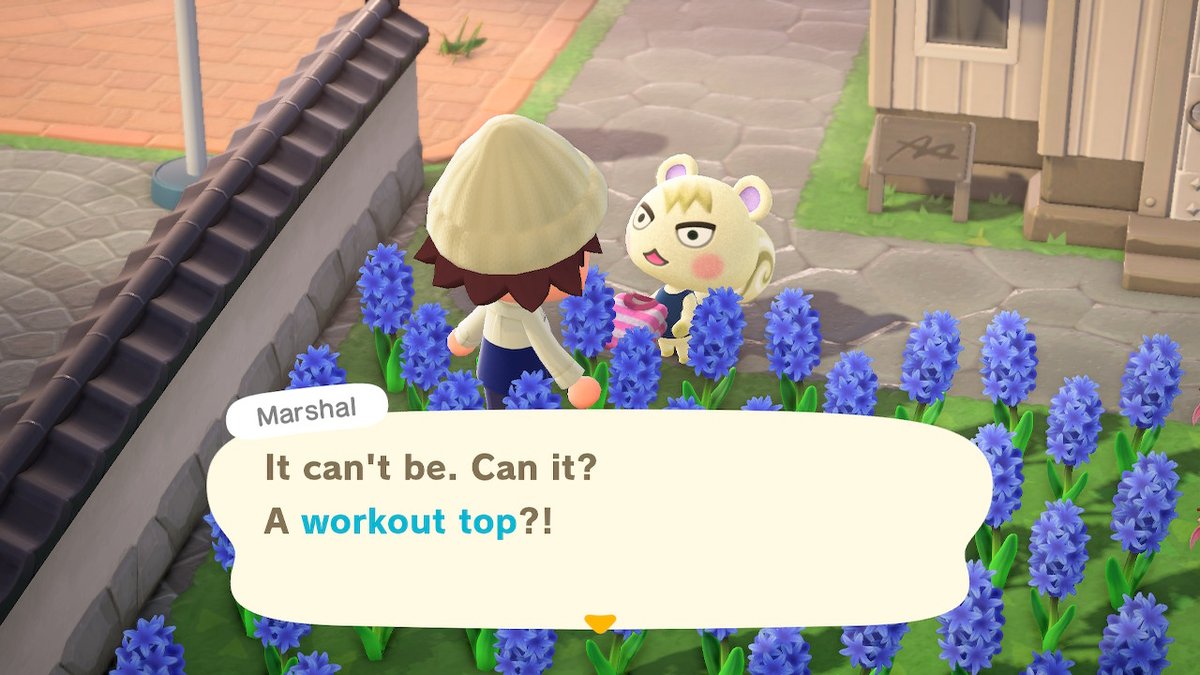 RDash75_TSS's tweet photo. #AnimalCrossing #ACNH #NintendoSwitch #ACMarshal https://t.co/PIRJK4tjmG
