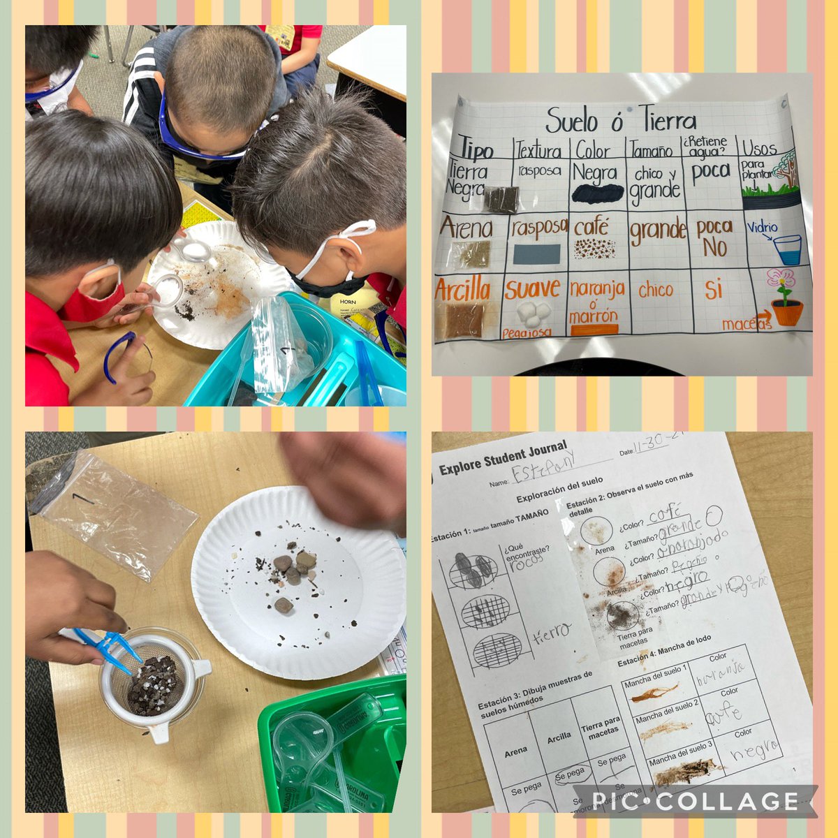 MAYRAKN55035702's tweet photo. Exploring soil! @Horn_STEM @STEMscopes #HornSTEM #ScienceMatters https://t.co/EFQfOhWnGP