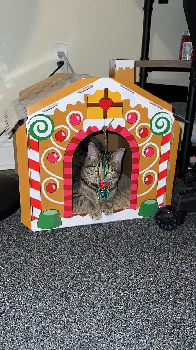 destinymxb's tweet photo. Our favorite kitten supplies come from @PetSmart Check out their advent calendar full of fun festive cat/kitten toys!! Even the gingerbread house is from @PetSmart #spoiled #kitten #AdventCalendar https://t.co/596I4WujQn