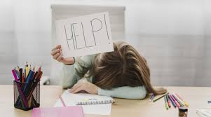 Amanda Eckert tweet media