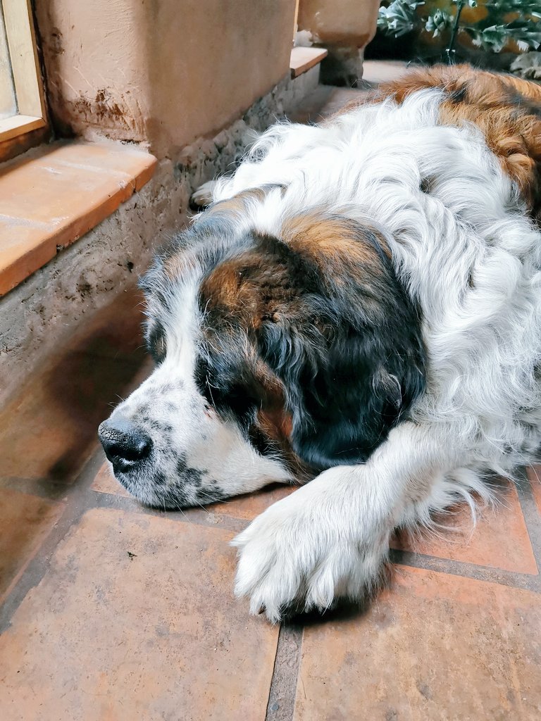 nardiet's tweet photo. Feliz viaje, mi Beto, me diste el corazón, me robaste todos mis suspiros. Una fortuna encontrarnos es esta vida!!! Gracias por tanto amor!!
#AmorIncondicional https://t.co/uG17EKbHLl