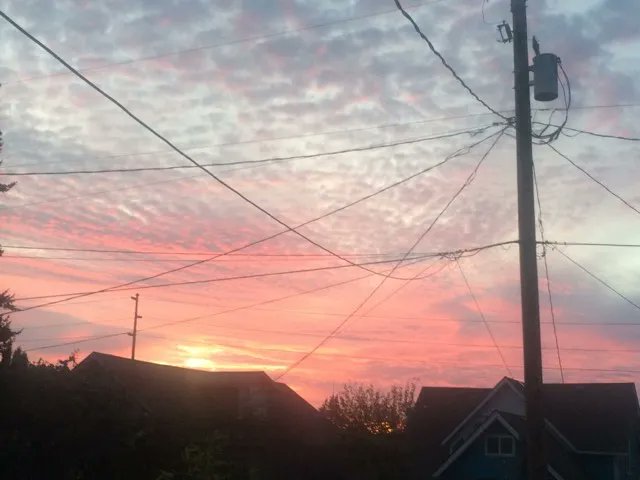 CascadiaWeekly's tweet photo. If not for the epic sunsets that have been lighting up Pacific Northwest skies at the tail end of many gloomy, relentlessly rainy days this fall, one might be to tempted to think our corner of the world had been forsaken by the sun. Read on at https://t.co/D9PU38US8H https://t.co/CVQx9DqgBN