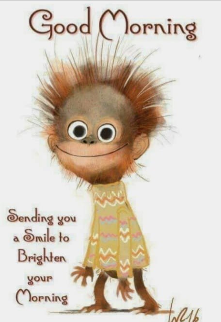 RBK Blog tweet media