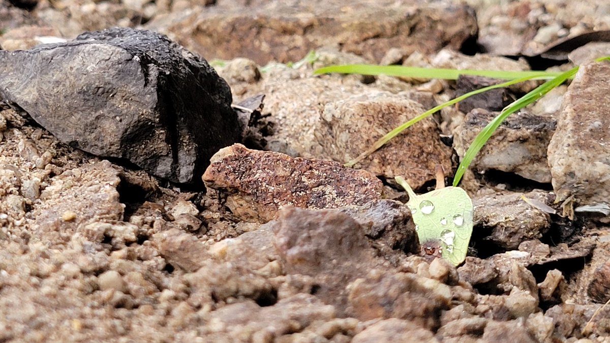 JeanLaura Padilla tweet media