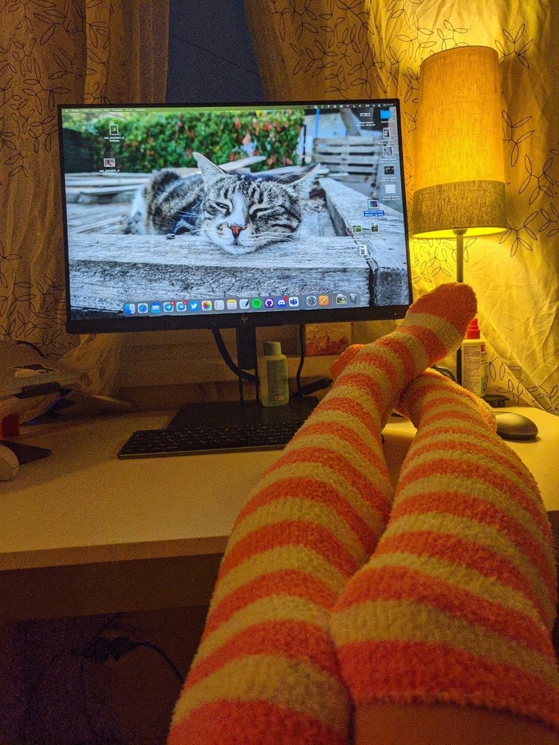 femboy_dev's tweet photo. new socks 

#femboy https://t.co/W9yfDQeUBN