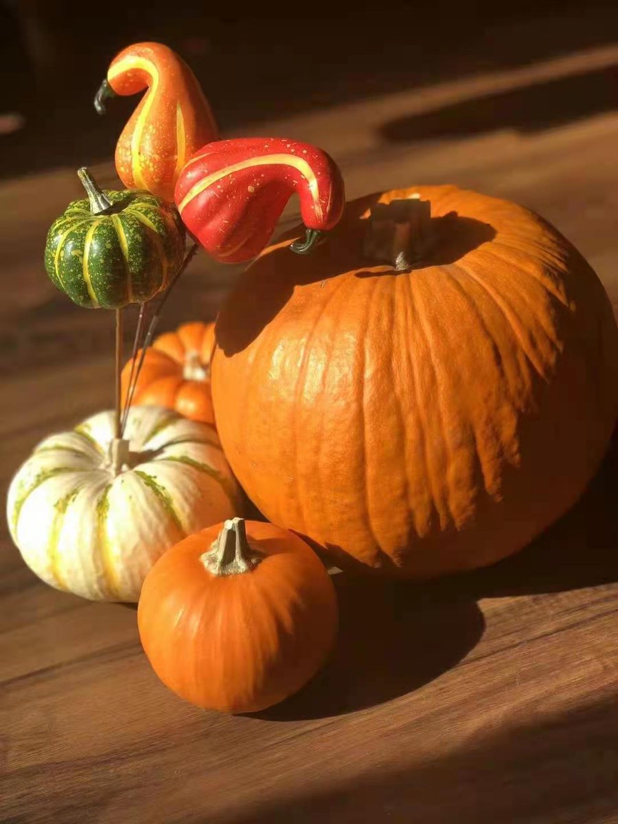 爾 (@zlm0809) on Twitter photo 