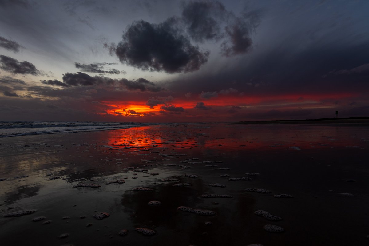 Philippe Portes tweet media