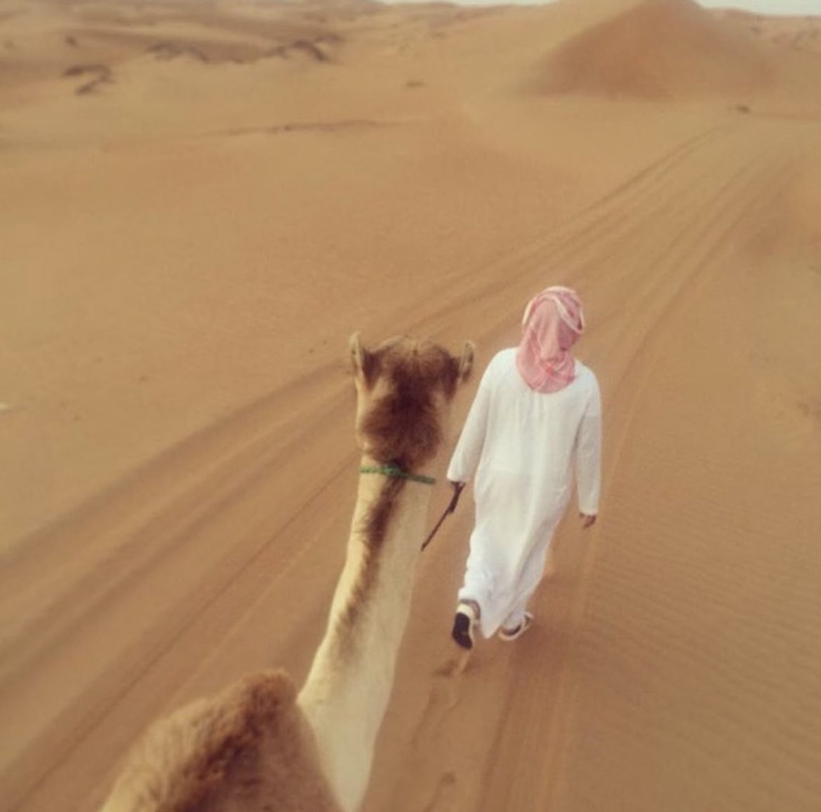 ☂️
.
.
علموه إن صدّتي ماهيب ضعفٍ مني 
كبر معروفه علي .. ولا قدرت ارده "
- -