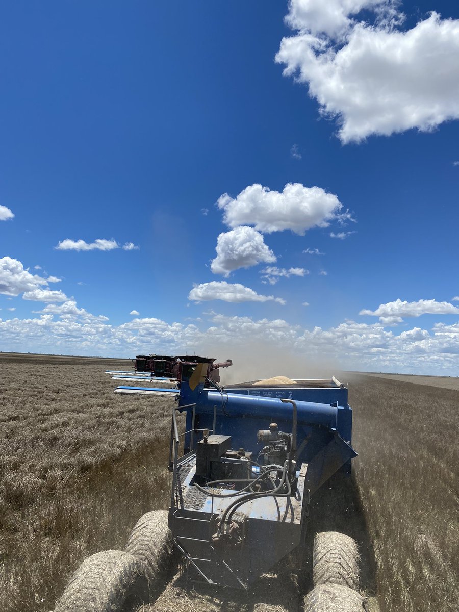 byronjbirch's tweet photo. 3x track headers - now we are getting down to business https://t.co/Nti29BOEQp