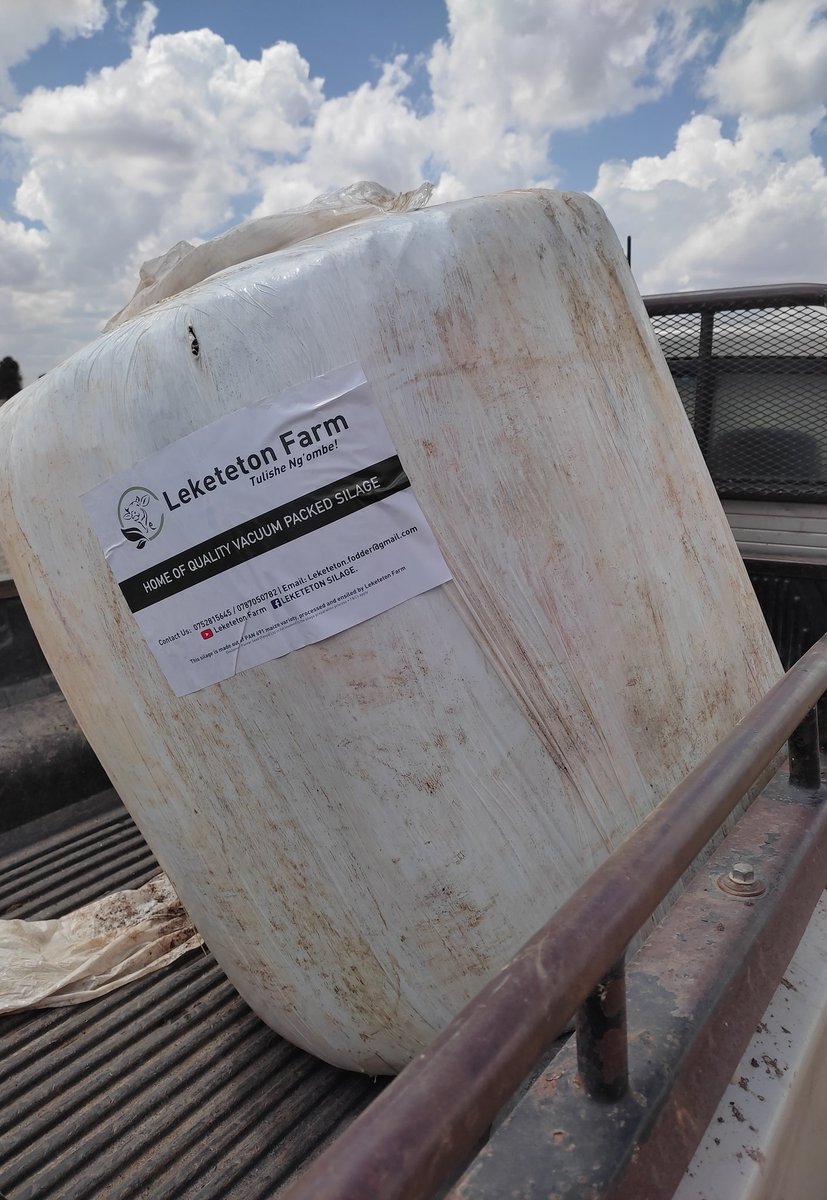 leketetonfarm's tweet photo. Just another d😃y serving my bosses👨🏿‍🌾👩🏾‍🌾#mattersfodder #tulisheng'ombe. 
 200kg bales @Kes13/Kg.                     ☎️ #mattersfodder 0787050782 
                Happy 🐮Happy 👨🏿‍🌾 https://t.co/7tBf1t4ggK