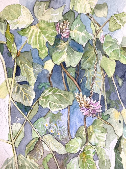 葛の花のtwitterイラスト検索結果