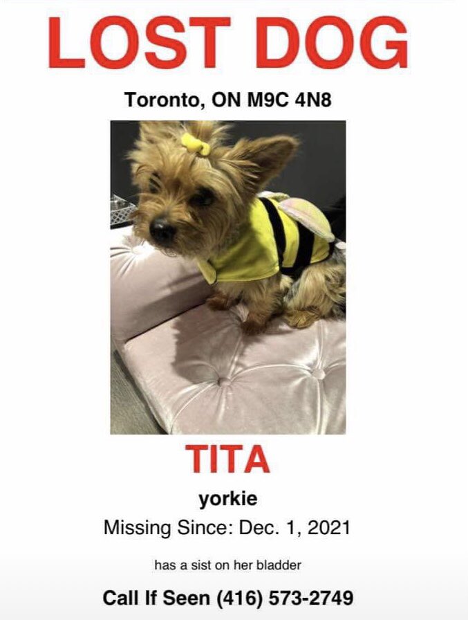 PetfindToronto's tweet photo. #ERINGATE #RANGOON RD LOST PLEASE HELP https://t.co/P6a50exmoh