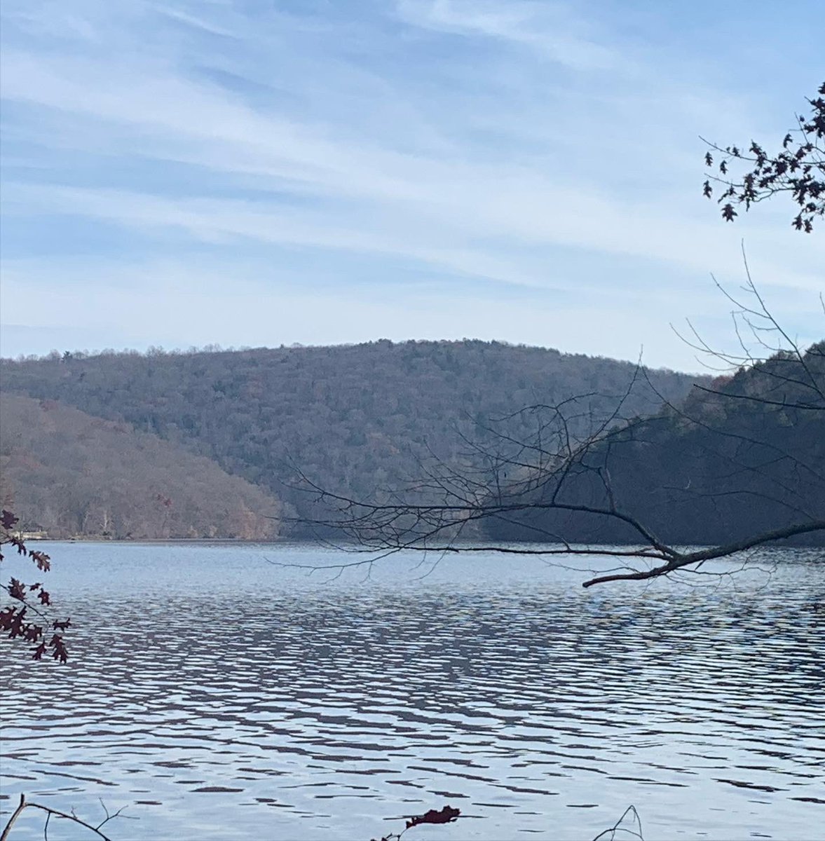 kokuaelli's tweet photo. @naturetechfam @59NationalParks A8: *Finally* got to the Zoar Trail in Sandy Hook!! We hiked it on Thanksgiving, since I wasn’t allowed to have thanksgiving with anyone. 😟 It tops as my favorite Blue Blazed trail. #ParkChat https://t.co/Hwo8rINaR3