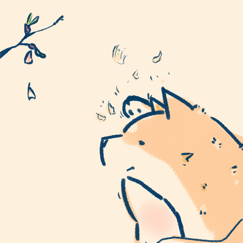 換毛 
