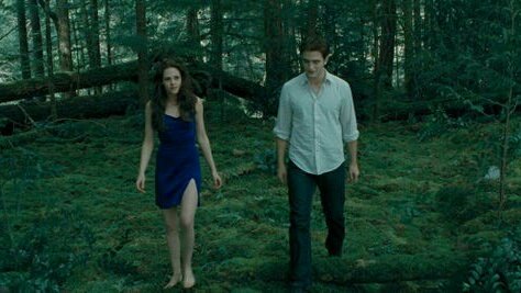 archivetwilight's tweet photo. what if the entire twilight saga had the blue filter https://t.co/FTv8ww7FQD