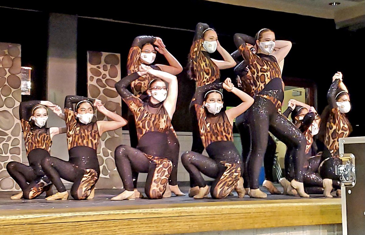 briscoe_dance's tweet photo. ✨Elective Fair✨ 
Future Bengals we want YOU to join our Dance Family🖤
 #joindance #dancefamily  #briscoedance #briscoedancecompany https://t.co/nP4IevjcMq