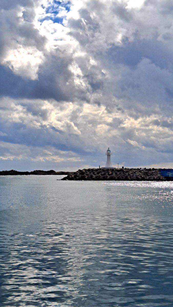 점심은 뭐 먹지?