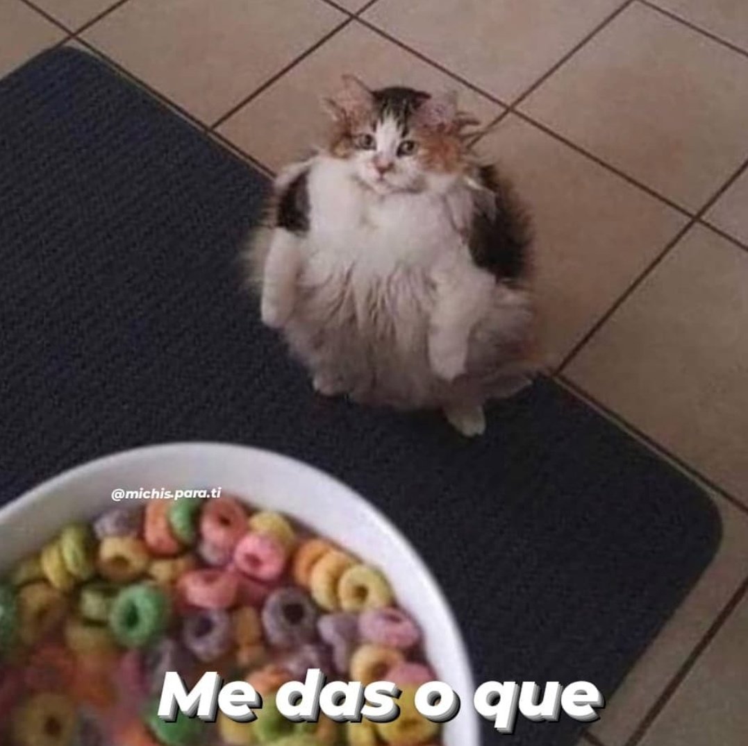 ⸻ ‍ ‍ ‍ ‍ ‍‍ ‍ ‍ ‍ ‍‍ ‍ ‍ ‍ 𝔐𝓇𝓈. 𝔈𝓇𝑒𝒷𝓊𝓈. (@inthxshadowssp) on Twitter photo 