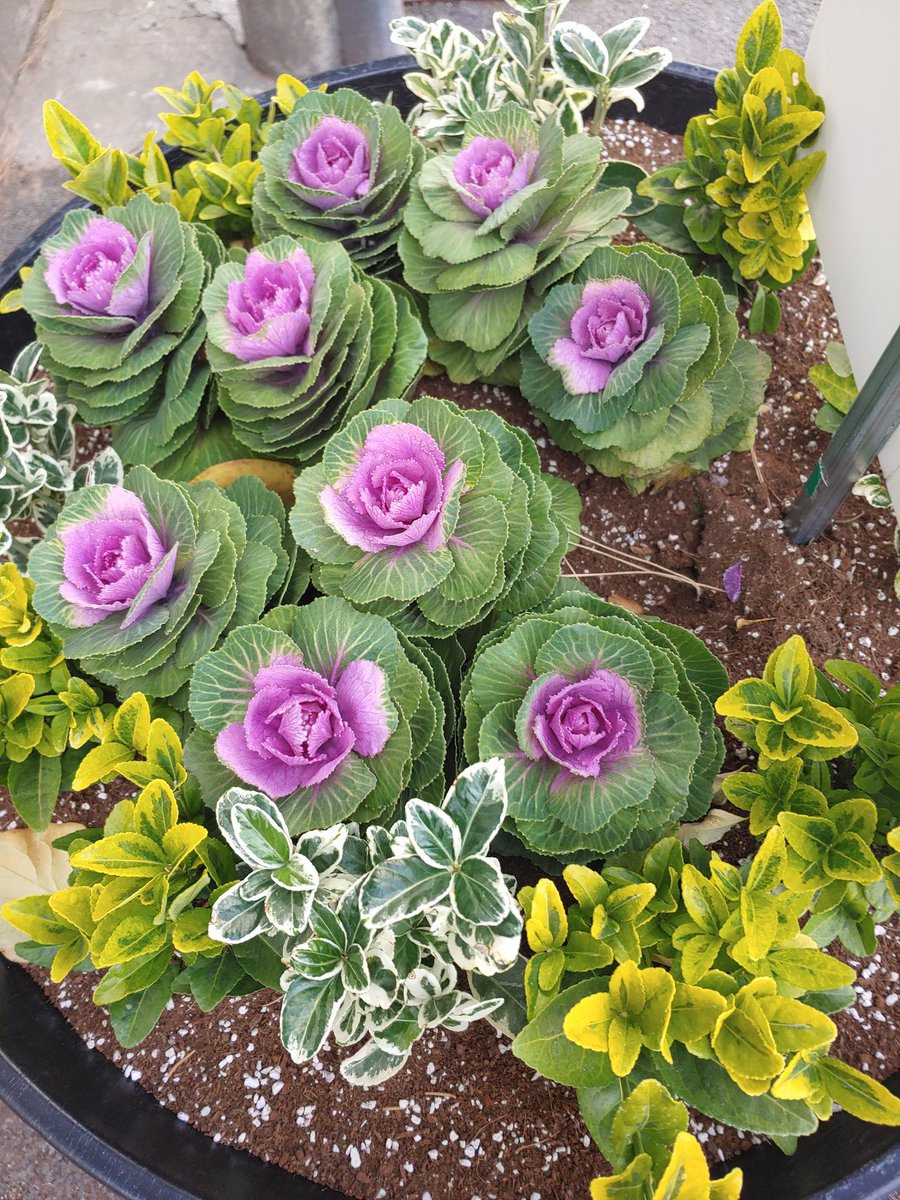 추위 따위 난 몰라요~♥