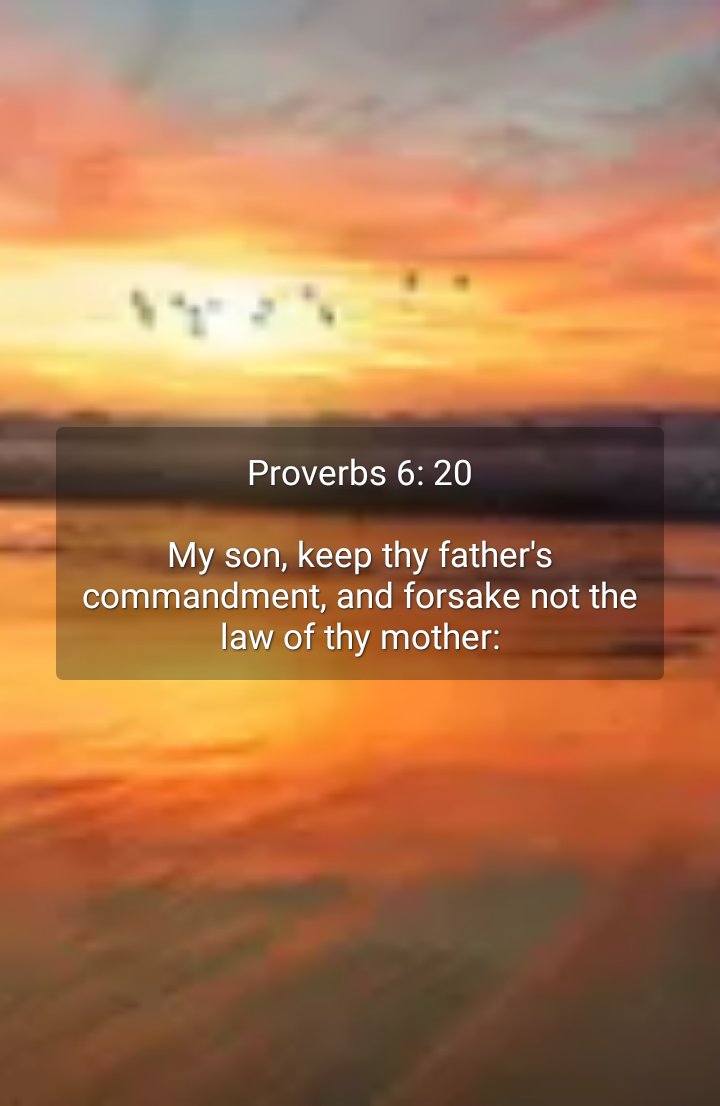 Proverbs 6: 20

My son, keep thy father's commandment, and forsake not the law of thy mother: 

Shared from Bible Home for Android
bit.ly/bible-home-play