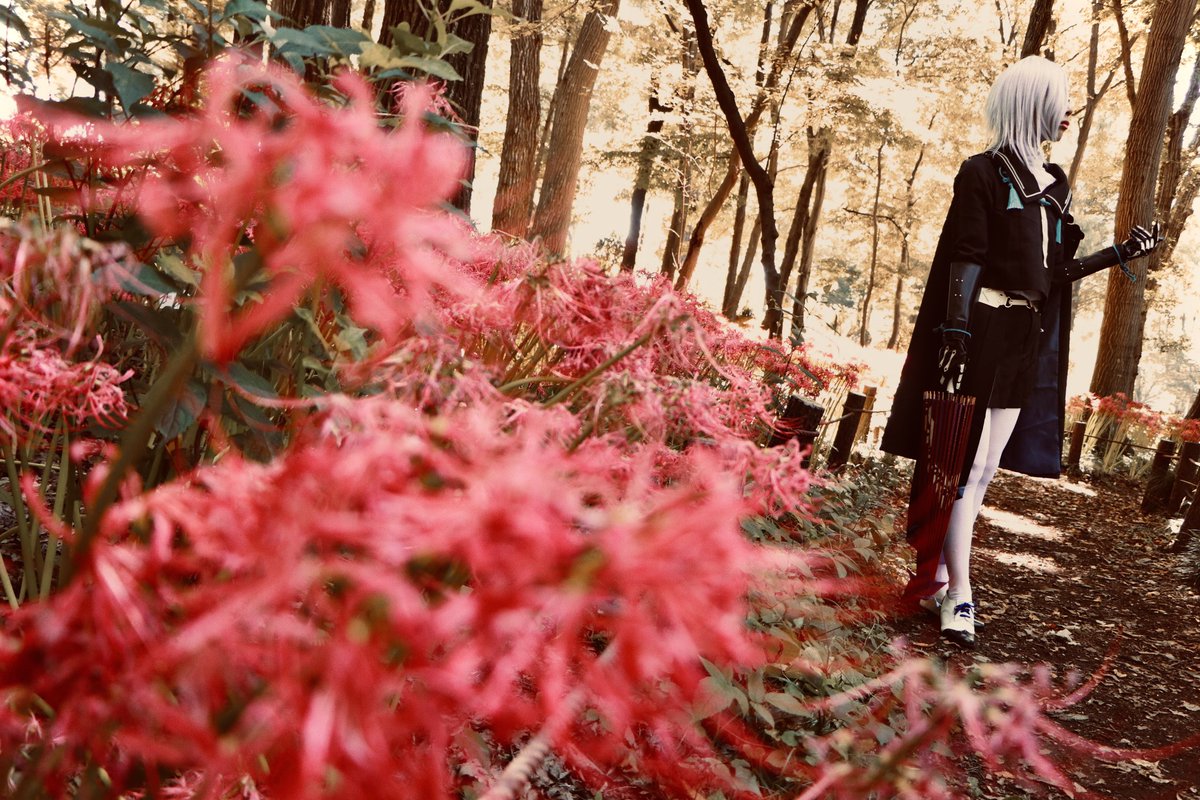 井澤photoplaylife のイラスト マンガ コスプレ モデル作品 3 件 Twoucan