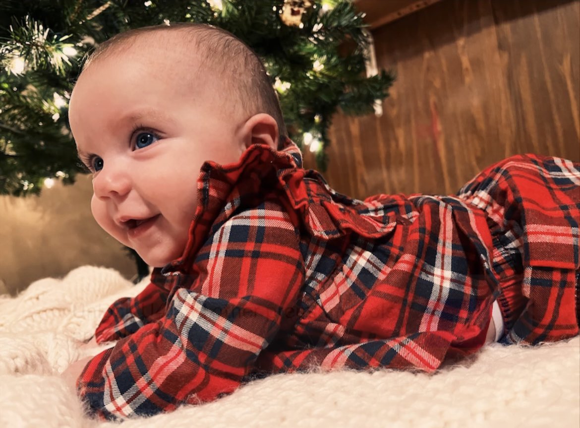 🎄🎄🎄