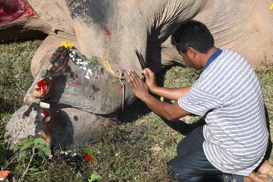 XHNews's tweet photo. Two elephants were killed after being hit by a train in Morigaon district of India's northeastern state of Assam https://t.co/P3p79MN4dB https://t.co/hBmvwC4qK6