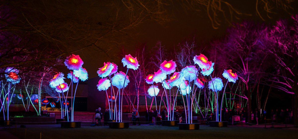 balter_michael's tweet photo. Tonight, was the perfect night to see Lightscape at the Chicago Botanic Garden. A must-see event that will not disappoint.  
#chicagobotanicgarden #lightscape https://t.co/pPYH0bgClY