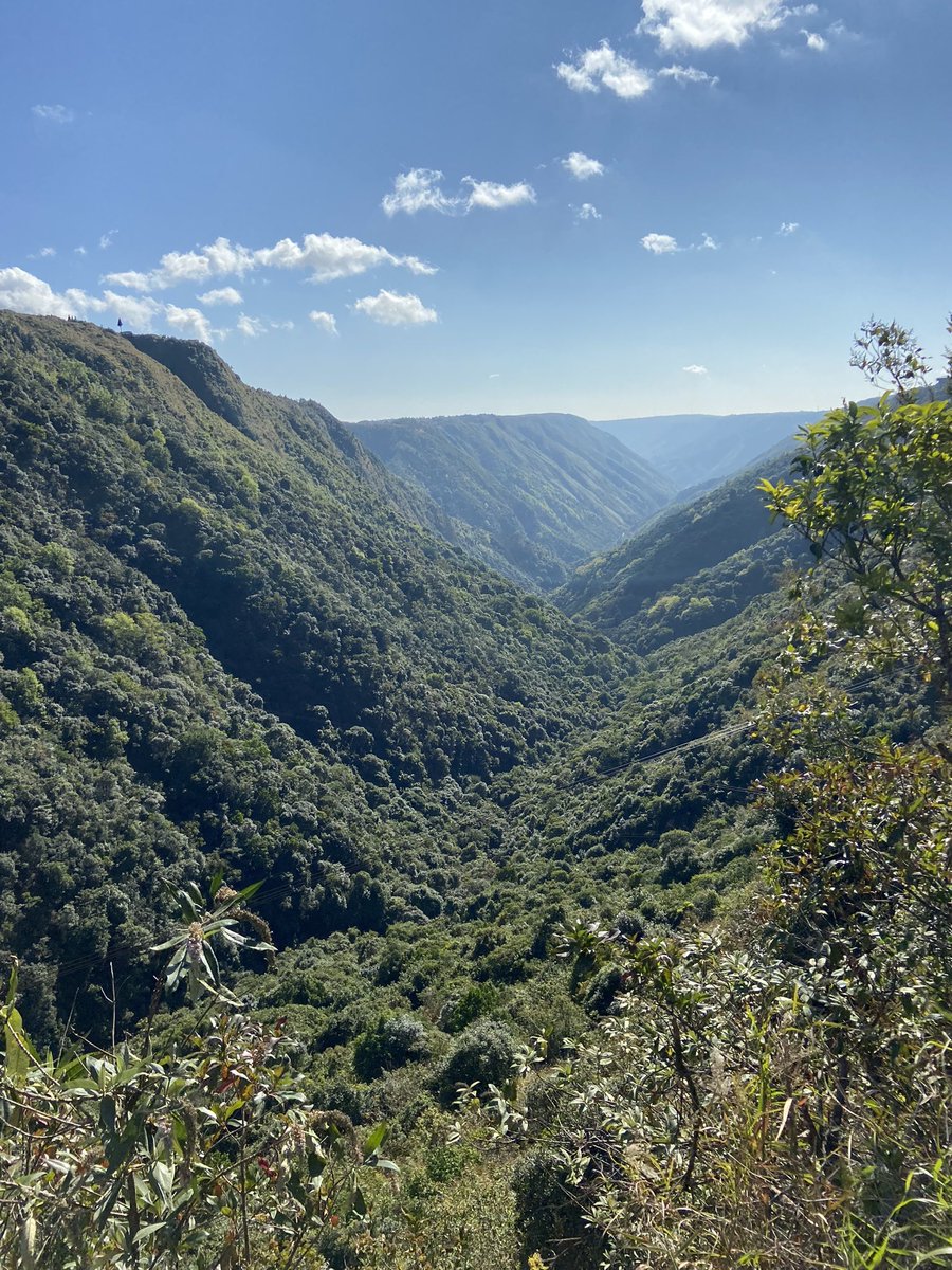 fawziat's tweet photo. No end to human greed. Ecological destruction in the ecological hotspot of the northeast #Meghalaya https://t.co/of3SKwyFrd