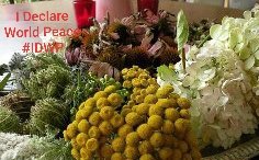 CherishTheEarth's tweet photo. I Declare
World Peace
#IDWP
#IAmChoosingLove
#JoyTrain #Namaste #SovereignPeace
#ClimateAction
#Unity
#HumanRights #JoyTrain
#WPIP
#IChooseLove
Cherish The Earth https://t.co/lJEPUsXlhg
