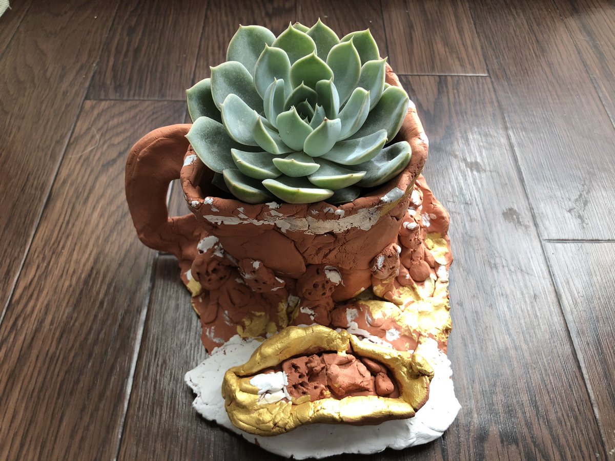 adachi_tinyboat's tweet photo. 娘が図工の授業でテラコッタ粘土を使った植木鉢を作ったらしく、多肉植物が植えられた状態で返ってきた。
図工の先生、課題選定のセンスが素晴らしい❗️
エケベリア属のようなのですが、詳細不明なので調べながらお世話してます。

 #エケベリア #多肉植物 #ガーデニング #園芸 https://t.co/Acnhpx7d3B