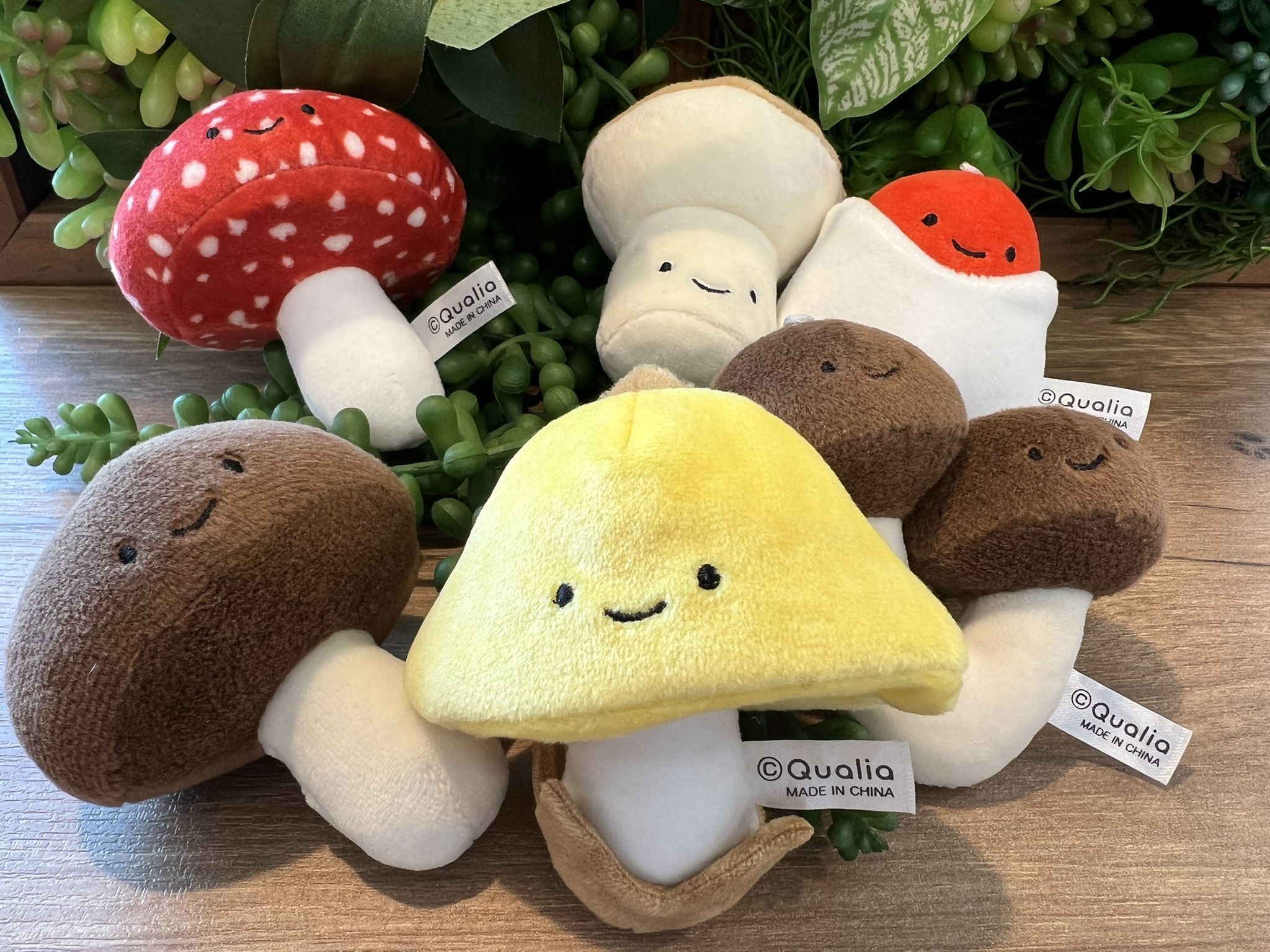 クオリア キノコのぬいぐるみ こわがら タマゴタケ（幼菌
