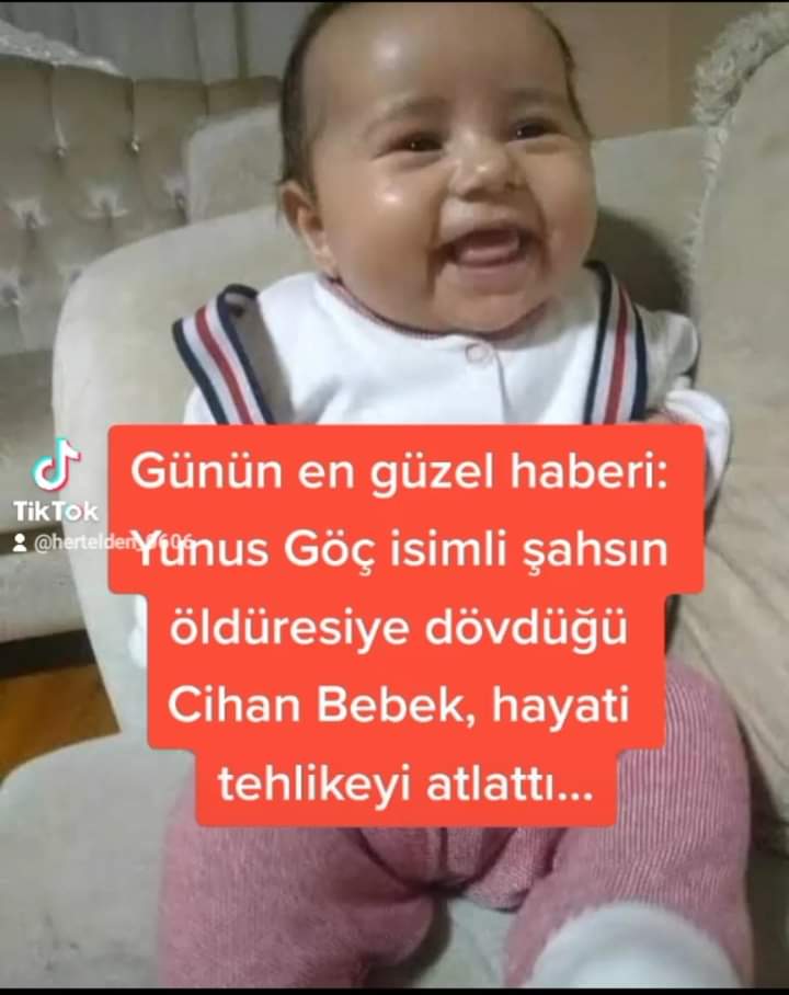 cihanbebek twitter search twitter