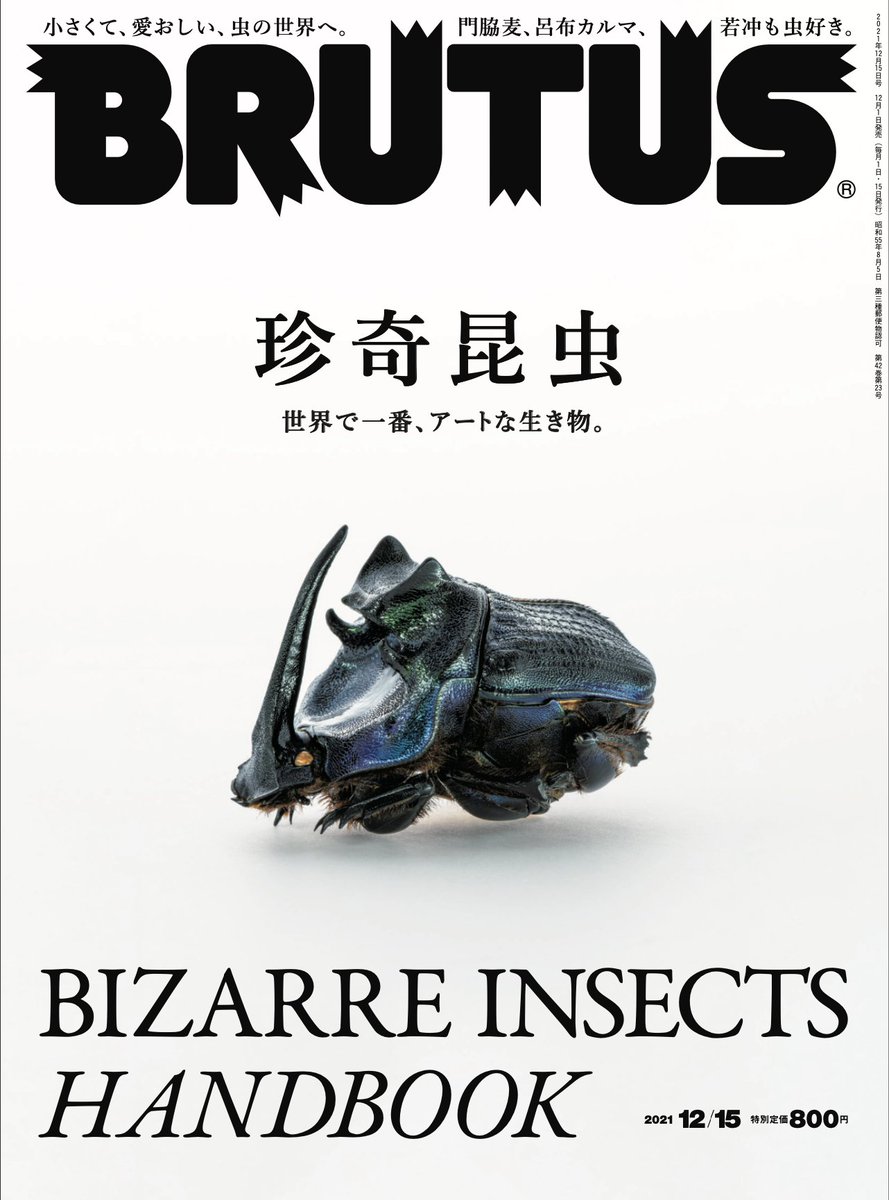 かが【標本】 まとめて Amazon | カシオ 電子辞書 エクスワード 高校生モデル XD