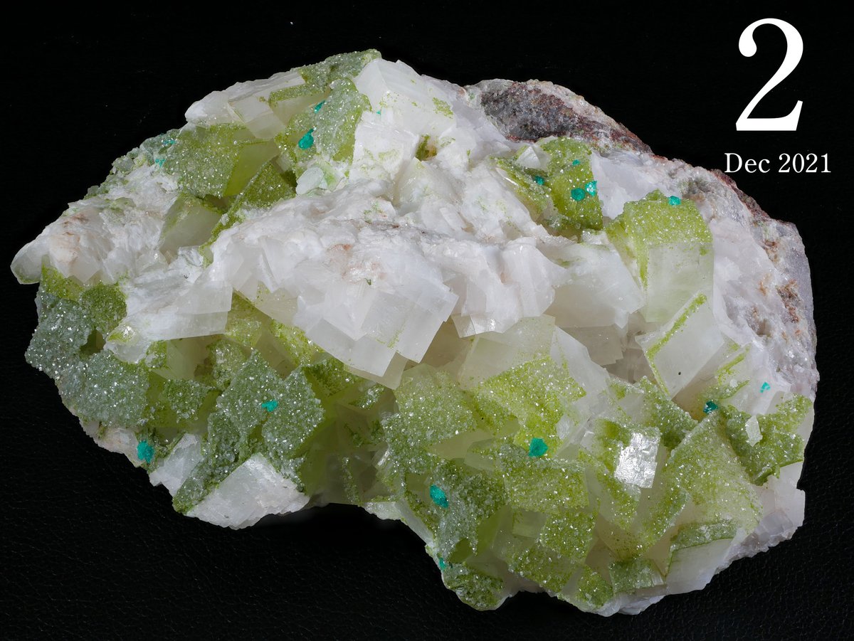 Chie Oshio（ Hillermay ひらめ） tweet media