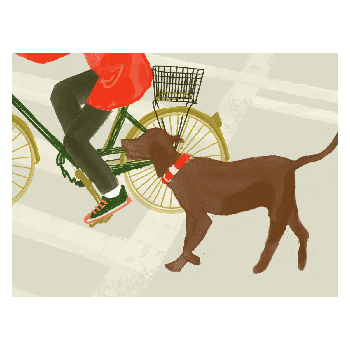 alliepal's tweet photo. Lake hops on her bike and Max keeps up. She loves the city in December. The energy keeps her warm. https://t.co/bZJslaznCb