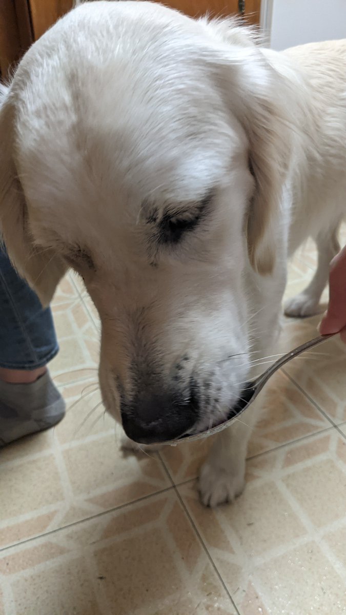 elusivejunicorn's tweet photo. Just a spoonful of rice 🤣😝🥰 https://t.co/QA2rvLbES6