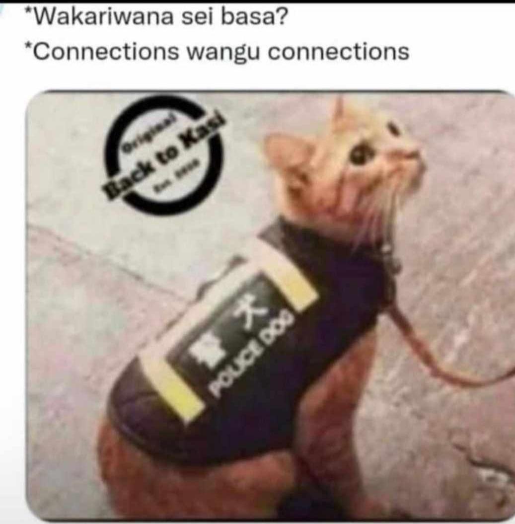 Mediocre always raises to the top