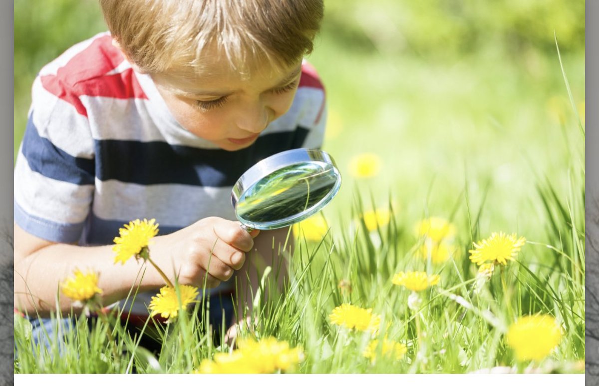 Heute im Adventskalender der BLE: Landwirtschaft und Schule. Welche Rolle die BLE da spielt? Einfach das 2. Türchen öffnen  tuerchen.com/ble2021