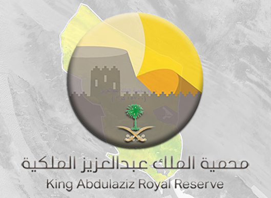استعراض المقال