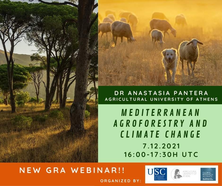 GRA webinars are back!🤩🤩💼

On December 7-16:00-17:30h UTC, Dr Anastasia Pantera, from the AUA🇬🇷 will delight us with a presentation titled "Mediterranean agroforestry and climate change"

To attend the webinar please, fill the next questionnaire out (cutt.ly/nTJZoiC)💚