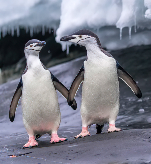 Photographer (@photo5065) on Twitter photo 