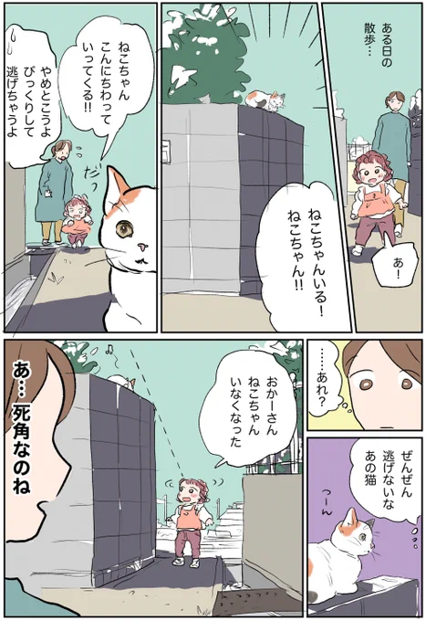 日常🌼
余裕の猫ちゃん 