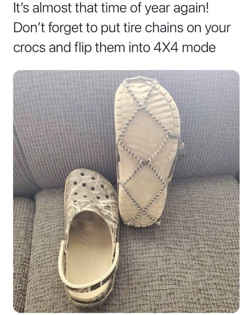 whostoleit's tweet photo. Anybody officiating at a winter meet?? 😂😂😂😂 #crocwatch https://t.co/JsVc0JACWt