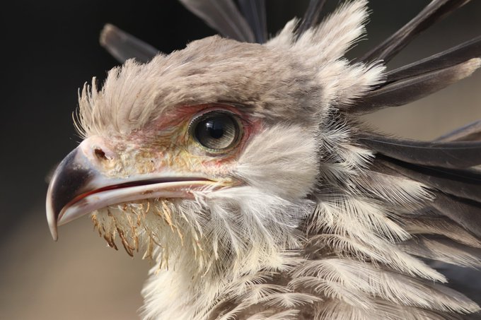 爆イケのtwitterイラスト検索結果 古い順 爆イケのtwitterイラスト検索結果 古い順