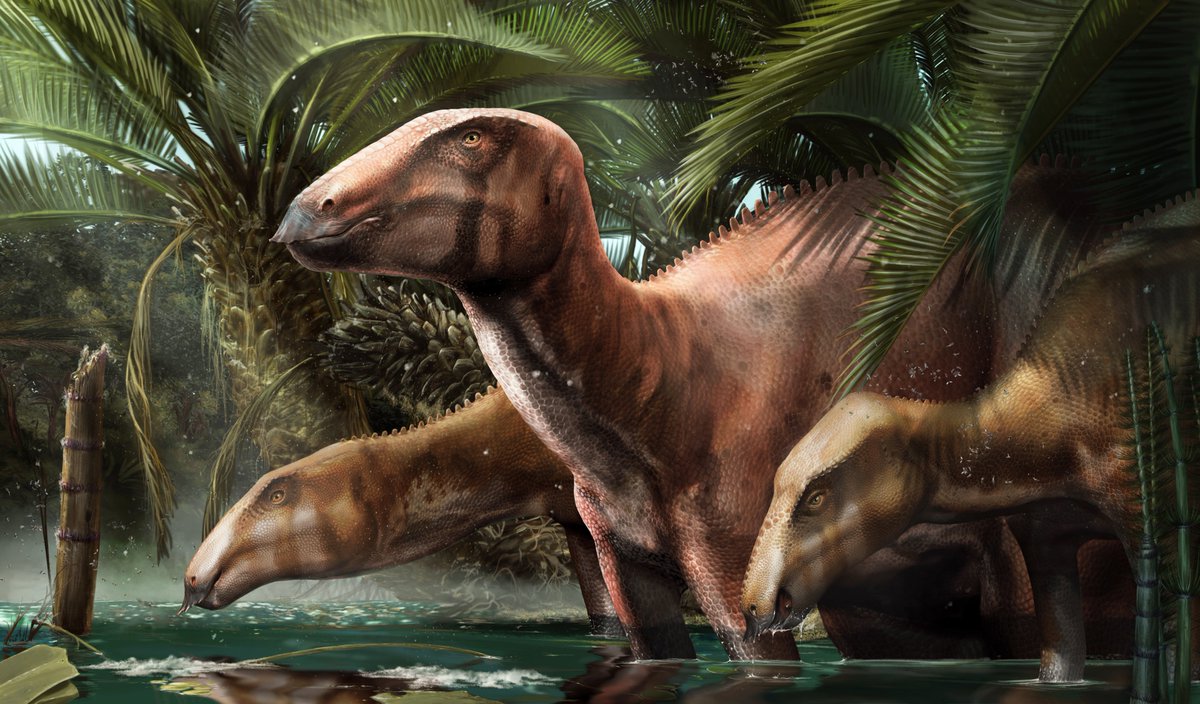 AAlechiarenza's tweet photo. Check out our new paper just published in @SciReports to know everything new on the first #Italian 🇮🇹 palaeontological site (Villaggio del Pescatore, near Trieste, North-eastern #Italy) with multiple, exceptionally complete #dinosaur skeletons! 🧶 1/15 🔗: https://t.co/IBySkAeIkG https://t.co/3I5Ks8UDfZ
