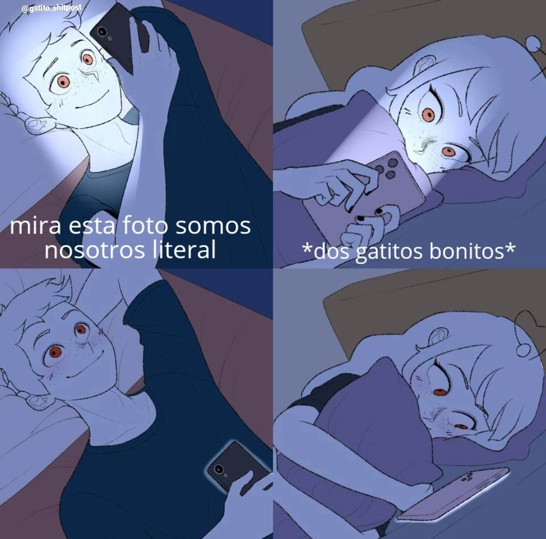 gatito_shitpost's tweet image. 