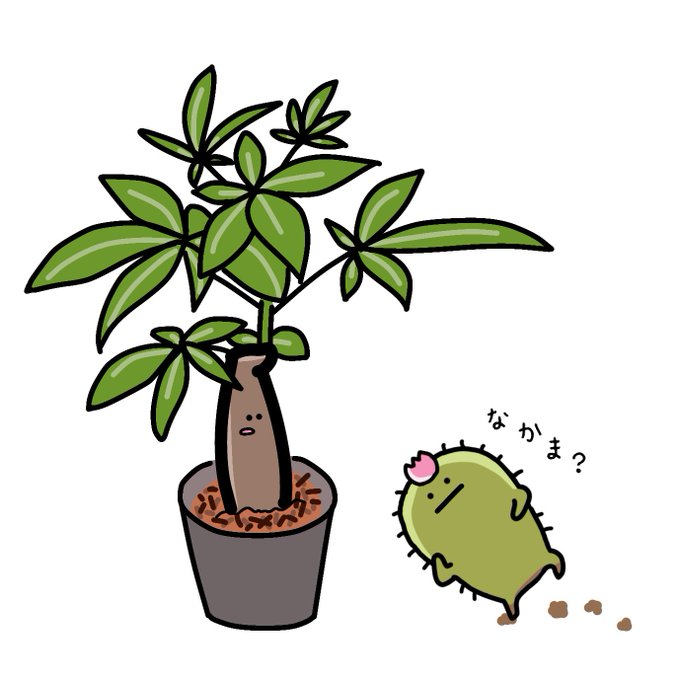 パキラのtwitterイラスト検索結果