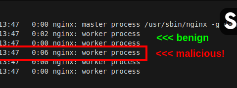 A new eCommerce parasite targets Nginx by embedding in the host Nginx application. This clever form of process masquerading makes it particularly hard to detect. See our instructions how to find and remove it. #NginRAT #Magecart

sansec.io/research/nginr…